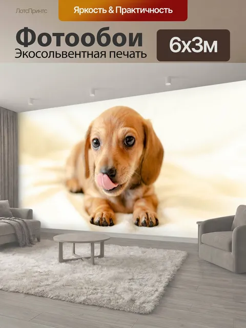 600 × 300 см · Экосольвентная печать