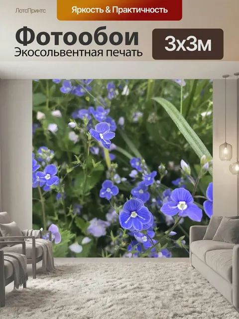 Фотообои Вероника дубравная, полевые цветы, сиреневый
