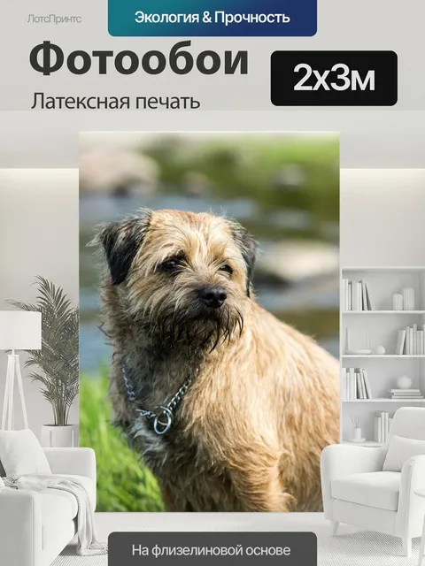 200 × 300 см · Латексная печать