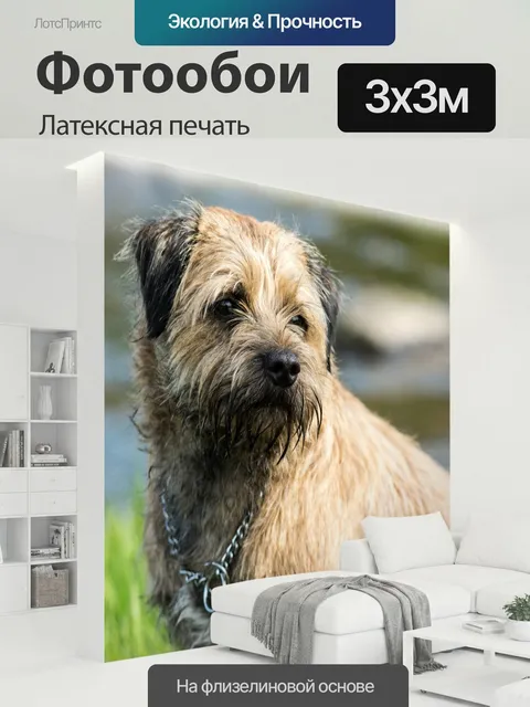 300 × 300 см · Латексная печать