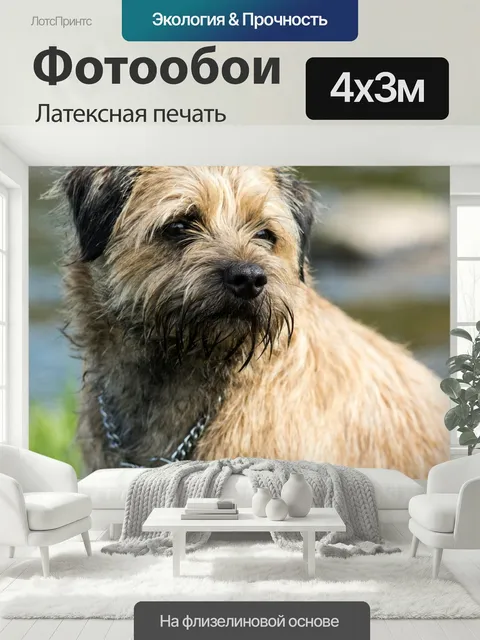 400 × 300 см · Латексная печать