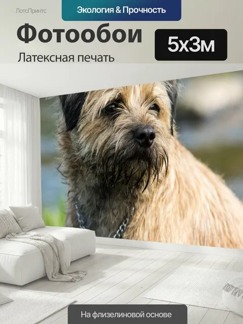 500 × 300 см · Латексная печать