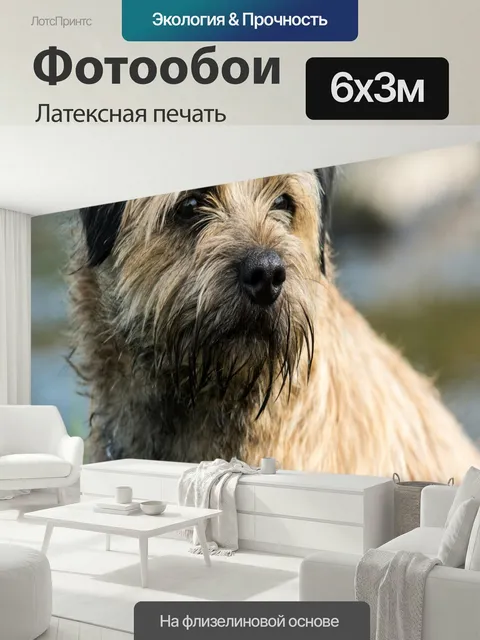 600 × 300 см · Латексная печать