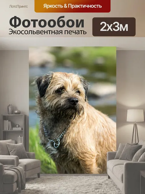 200 × 300 см · Экосольвентная печать