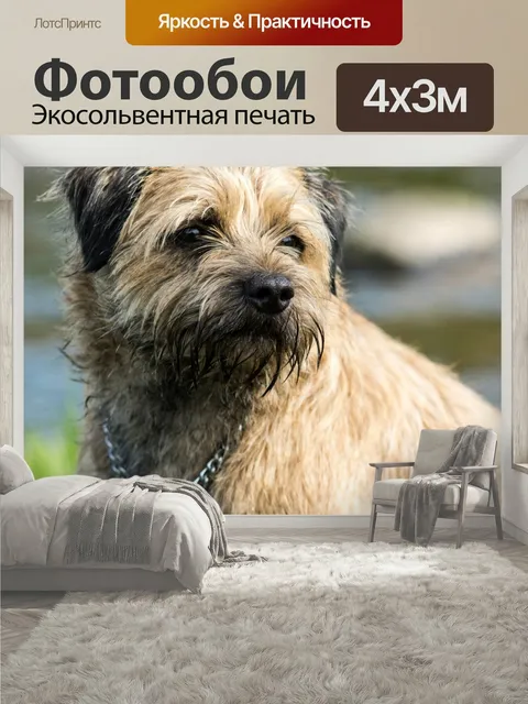 400 × 300 см · Экосольвентная печать