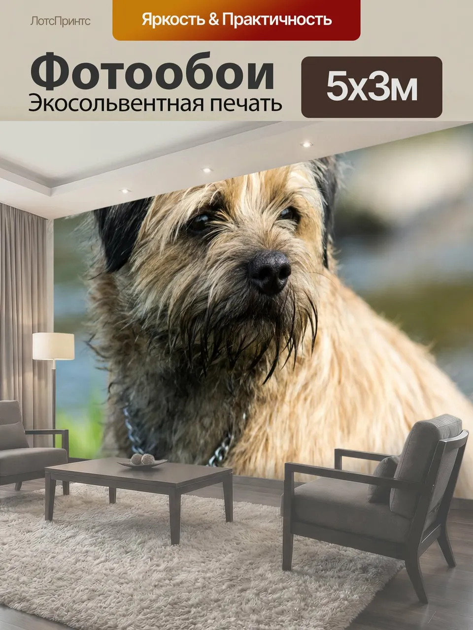 Фотообои Бордер терьер Собака границы