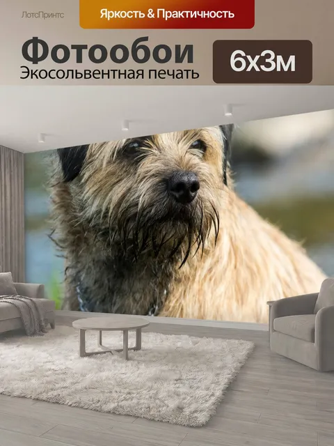 600 × 300 см · Экосольвентная печать