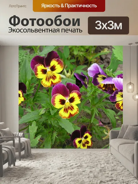 Фотообои Цветы, анютины глазки, растения