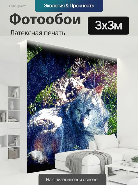 300 × 300 см · Латексная печать