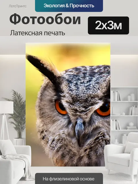 200 × 300 см · Латексная печать
