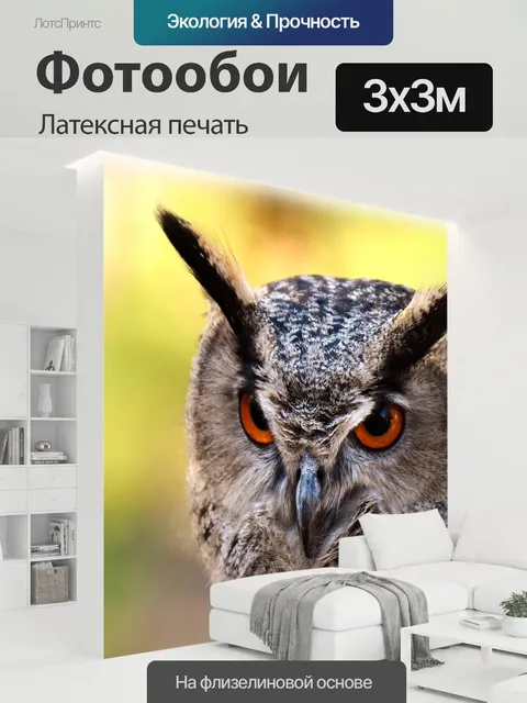 300 × 300 см · Латексная печать