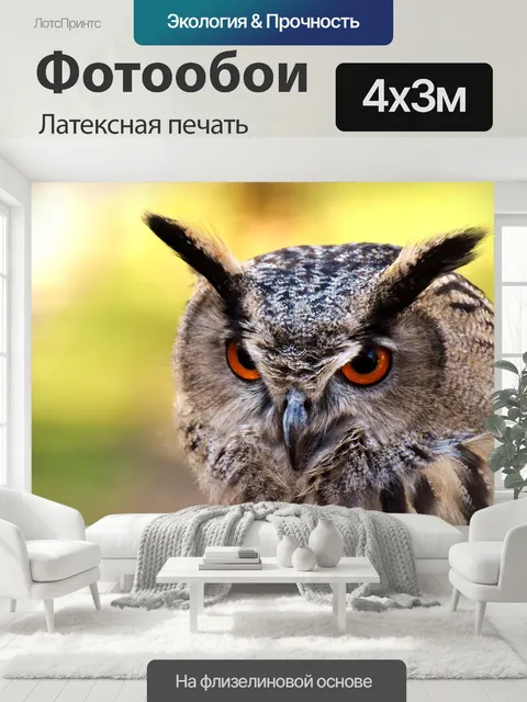 400 × 300 см · Латексная печать