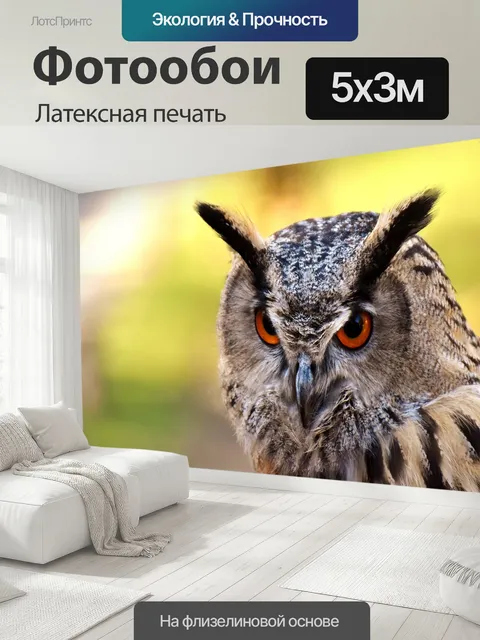 500 × 300 см · Латексная печать