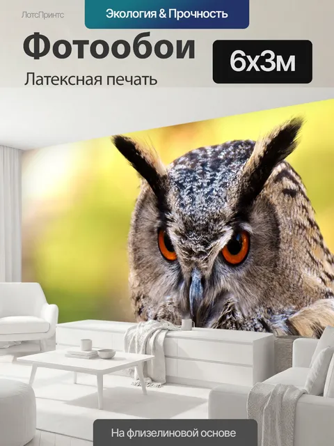 600 × 300 см · Латексная печать