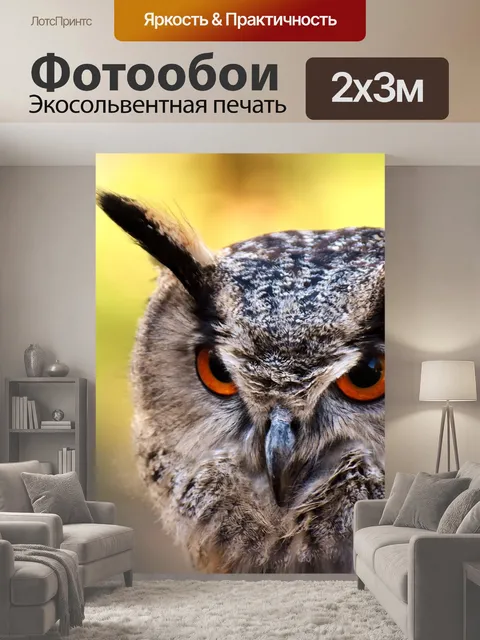 200 × 300 см · Экосольвентная печать