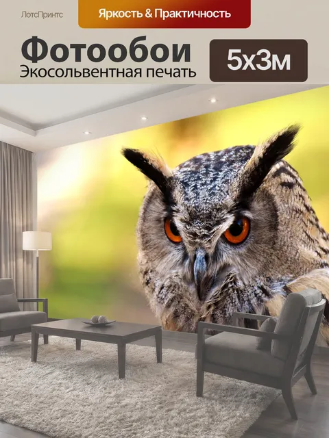 500 × 300 см · Экосольвентная печать