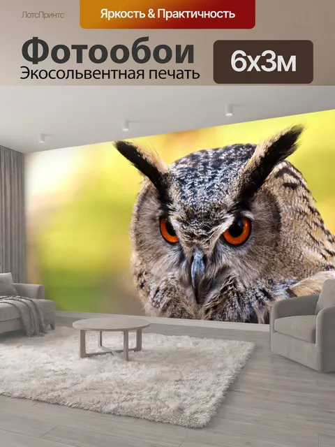 600 × 300 см · Экосольвентная печать