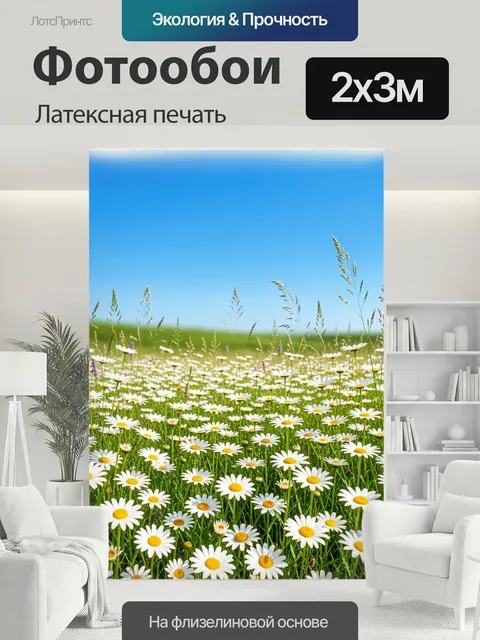200 × 300 см · Латексная печать