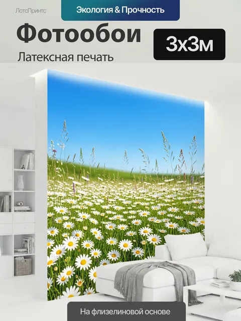 300 × 300 см · Латексная печать