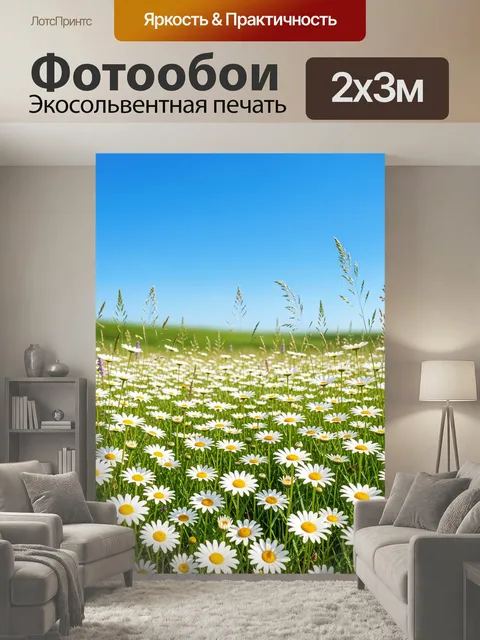 200 × 300 см · Экосольвентная печать