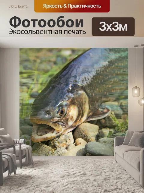 Фотообои Char, долли, форель