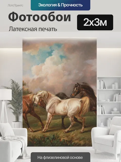 200 × 300 см · Латексная печать