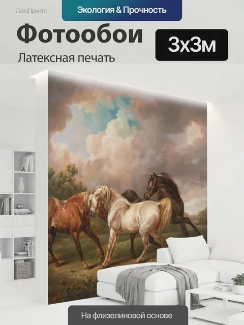 300 × 300 см · Латексная печать
