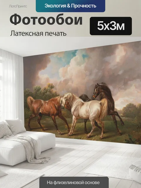 500 × 300 см · Латексная печать