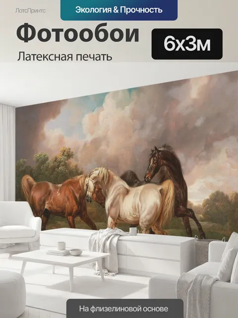 600 × 300 см · Латексная печать