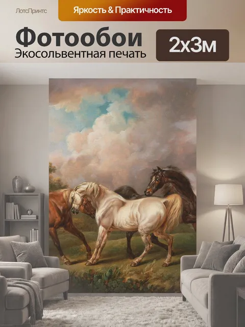 200 × 300 см · Экосольвентная печать