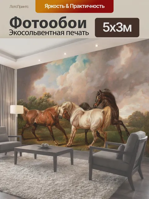 500 × 300 см · Экосольвентная печать