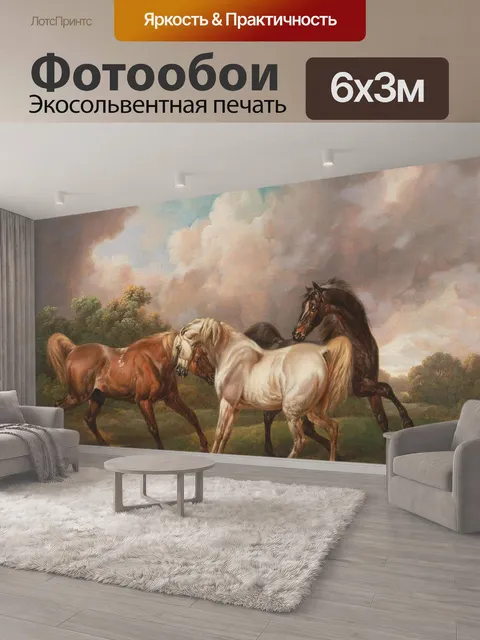 600 × 300 см · Экосольвентная печать