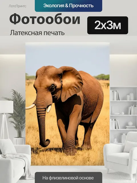 200 × 300 см · Латексная печать