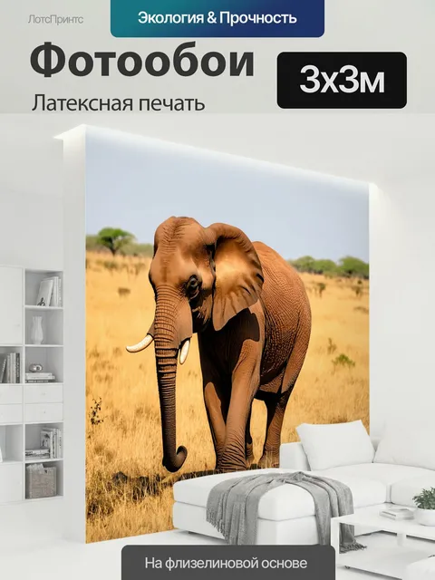 300 × 300 см · Латексная печать