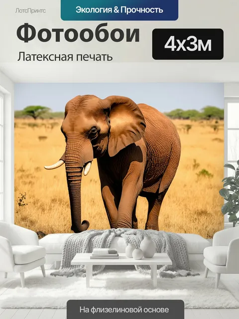 400 × 300 см · Латексная печать