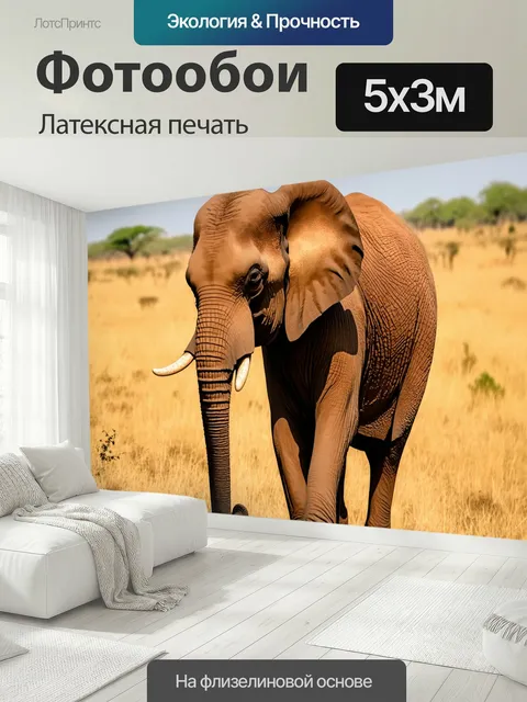 500 × 300 см · Латексная печать