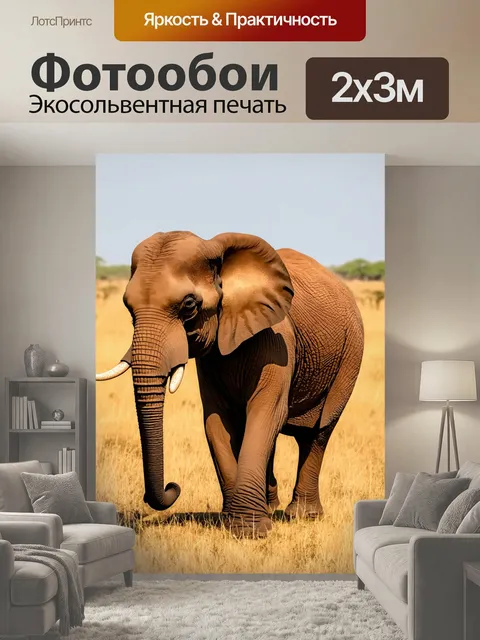 200 × 300 см · Экосольвентная печать