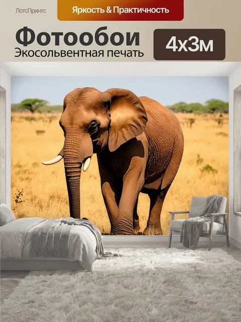 400 × 300 см · Экосольвентная печать