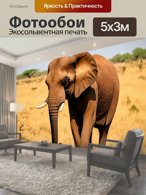 500 × 300 см · Экосольвентная печать
