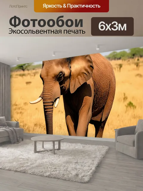 600 × 300 см · Экосольвентная печать