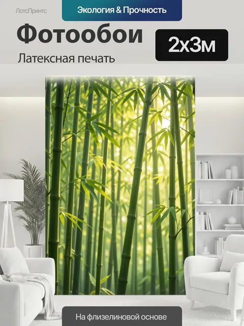 200 × 300 см · Латексная печать