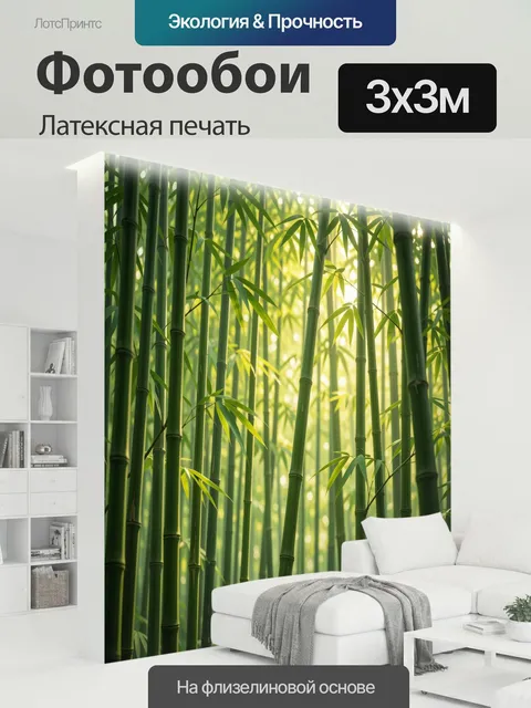 300 × 300 см · Латексная печать