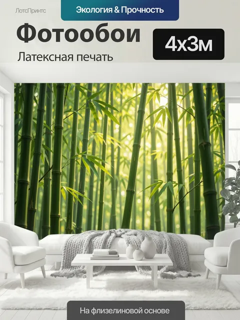 400 × 300 см · Латексная печать