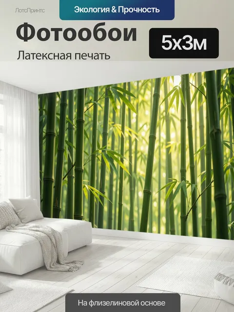 500 × 300 см · Латексная печать