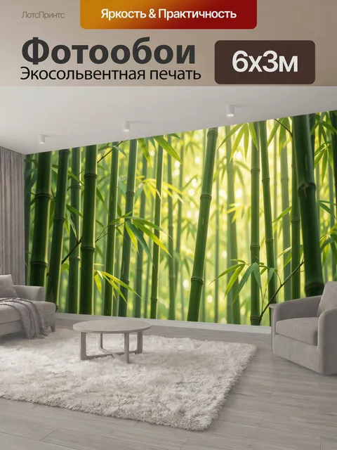 600 × 300 см · Экосольвентная печать