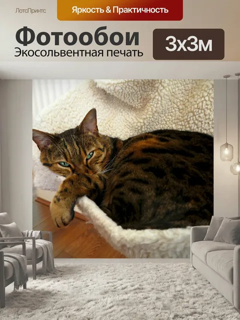 Фотообои Кошка, бенгальский кот, кошачий