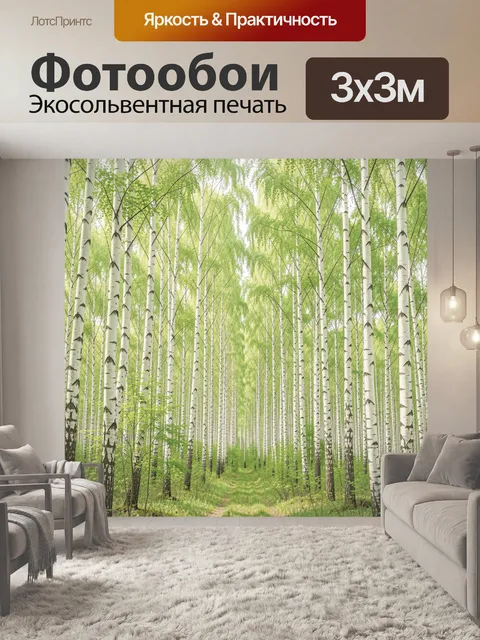Фотообои Светлая берёзовая аллея в лесу