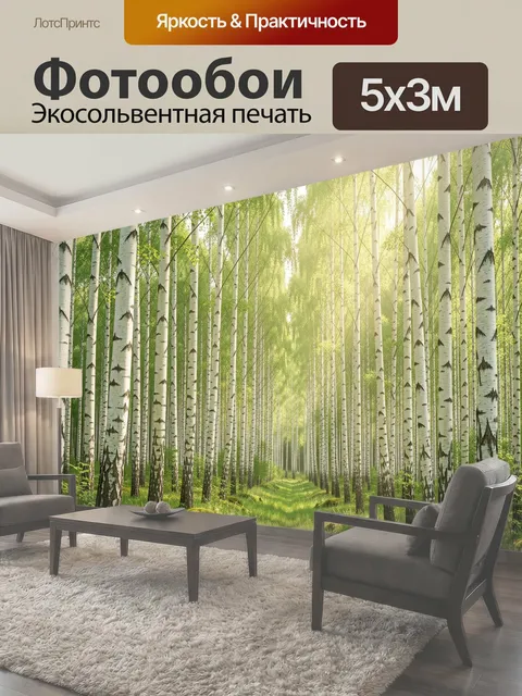 Фотообои Берёзовая роща в солнечном свете