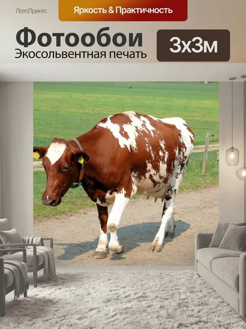 Фотообои Корова, животное, красный мех