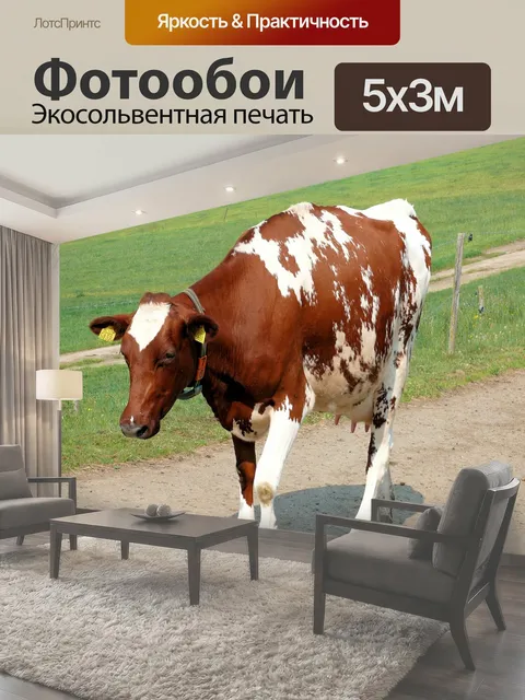 Фотообои Корова, животное, красный мех